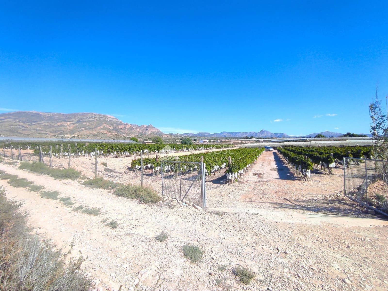 Finca/Casa di Campagna in vendita in Monforte del Cid - 126.050 € (Rif: 8568195)