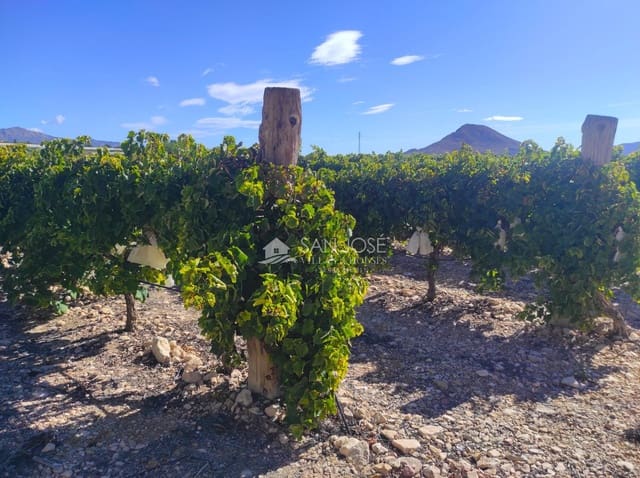 Finca/Casa di Campagna in vendita in Monforte del Cid - 126.050 € (Rif: 8568195)