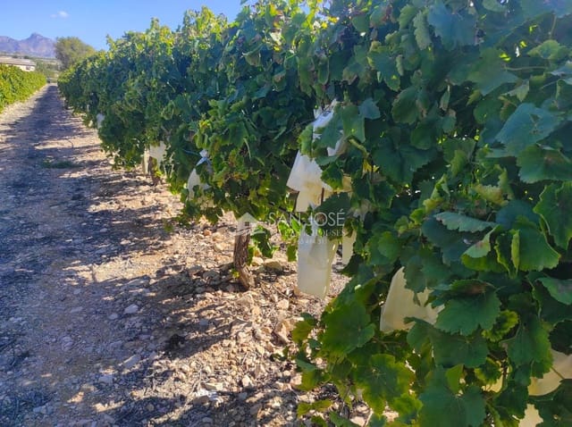 Finca/Casa di Campagna in vendita in Monforte del Cid - 126.050 € (Rif: 8568195)