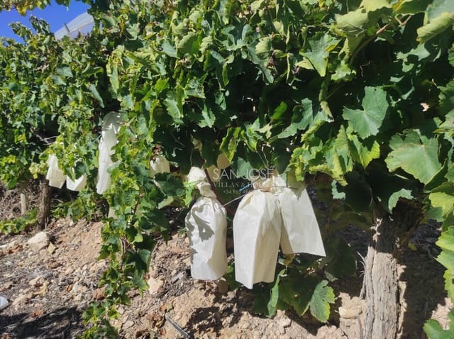 Finca/Casa di Campagna in vendita in Monforte del Cid - 126.050 € (Rif: 8568195)