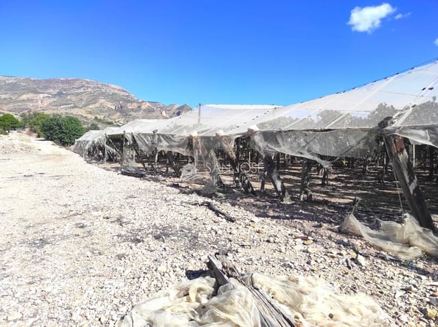 Finca/Casa di Campagna in vendita in Monforte del Cid - 126.050 € (Rif: 8568195)