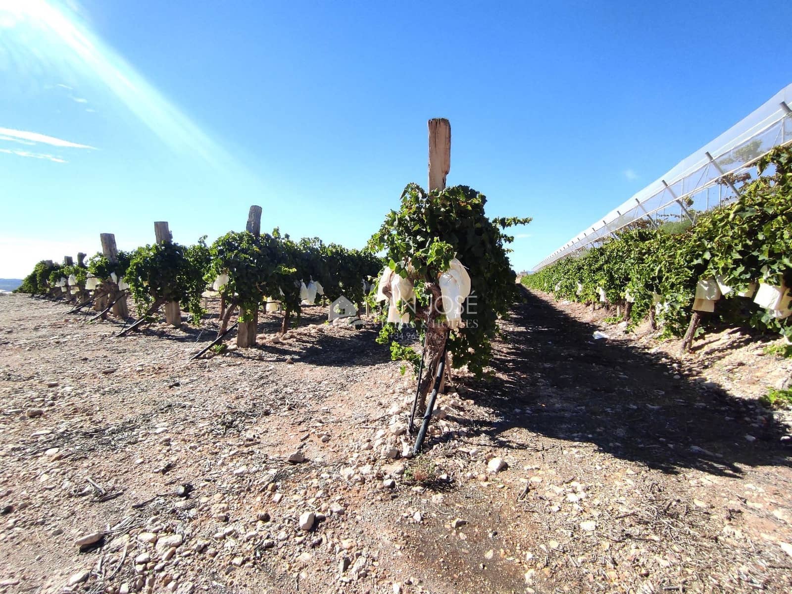 Finca/Casa di Campagna in vendita in Monforte del Cid - 126.050 € (Rif: 8568195)