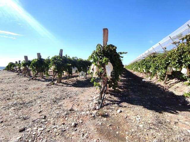 Finca/Casa di Campagna in vendita in Monforte del Cid - 126.050 € (Rif: 8568195)