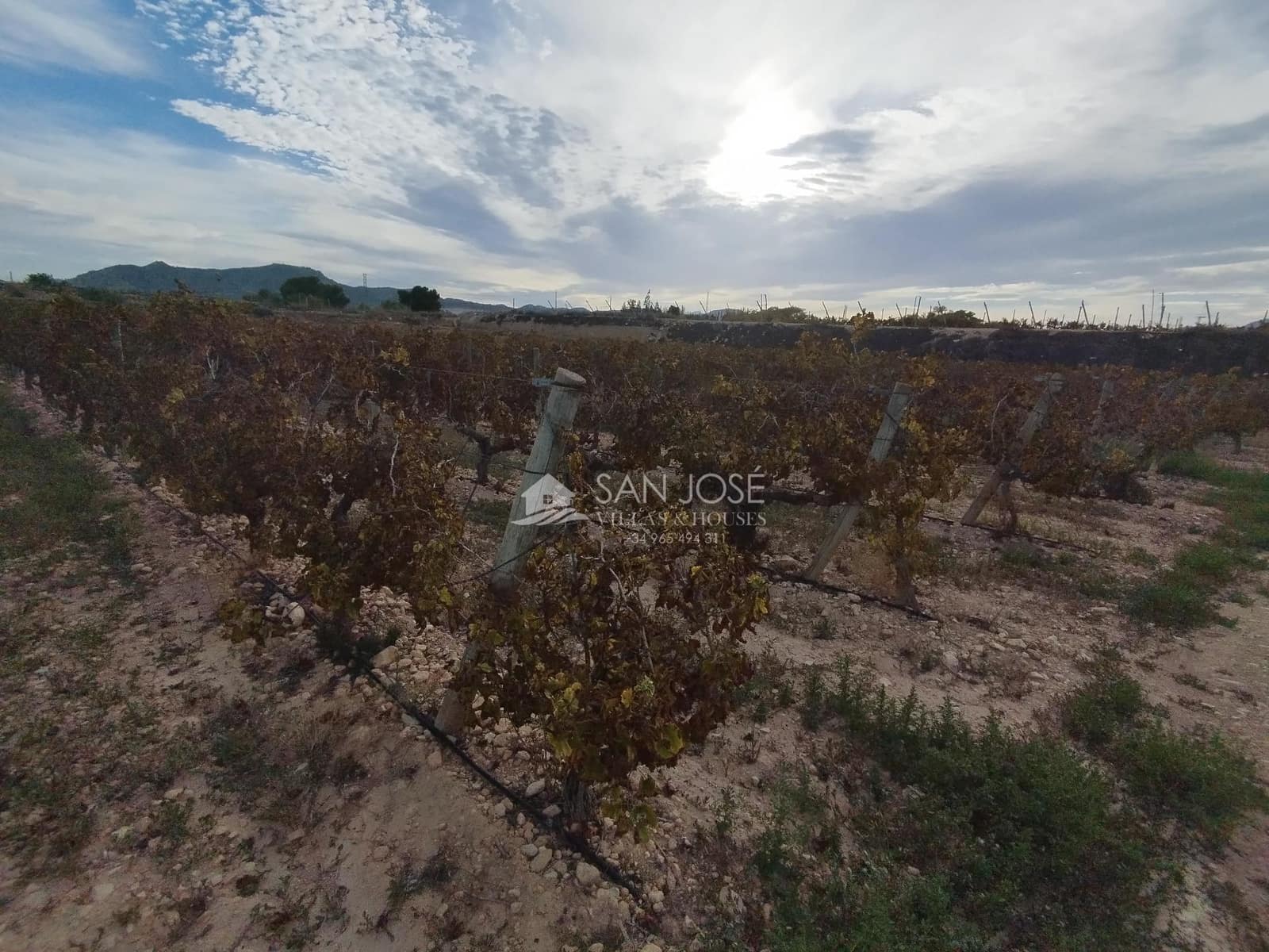 Bouwgrond te koop in Novelda - € 32.200 (Ref: 8584646)