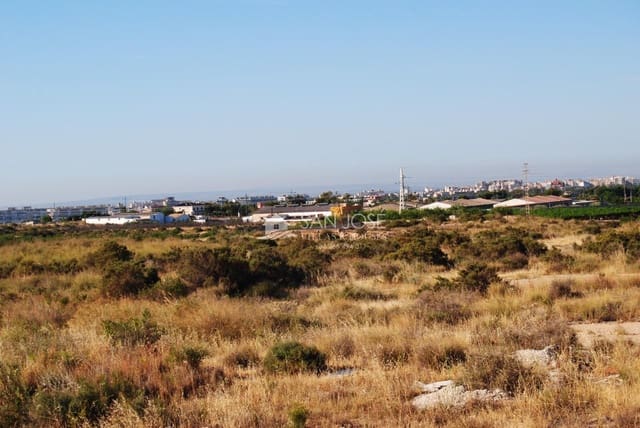 Grond te koop in Elche / Elx - € 900.000 (Ref: 8595019)