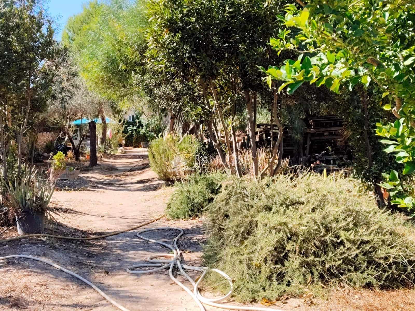 6 bedroom Villa for sale in Aspe - € 175,000 (Ref: 8603932)