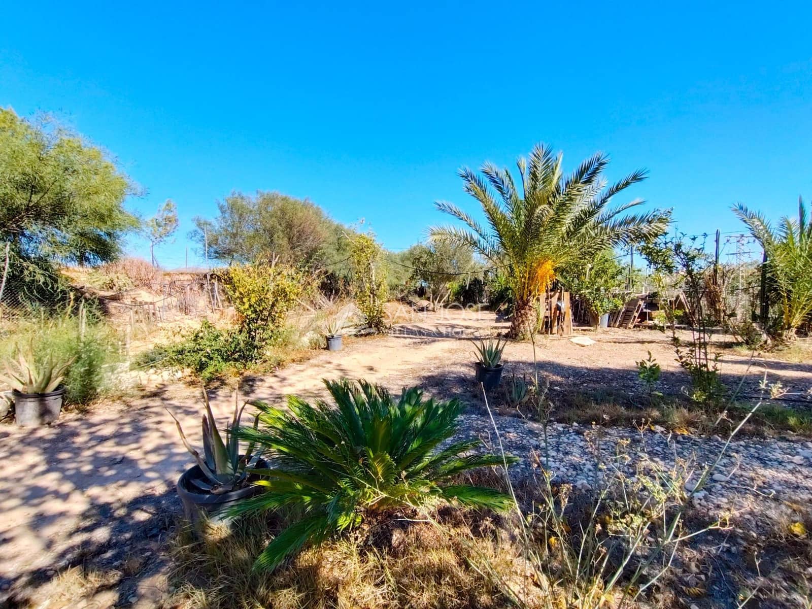 6 bedroom Villa for sale in Aspe - € 175,000 (Ref: 8603932)