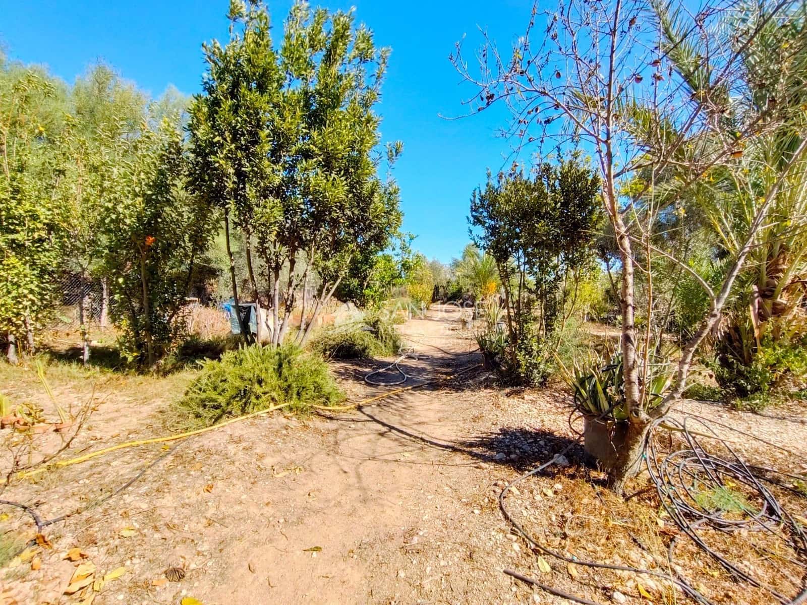 6 bedroom Villa for sale in Aspe - € 175,000 (Ref: 8603932)