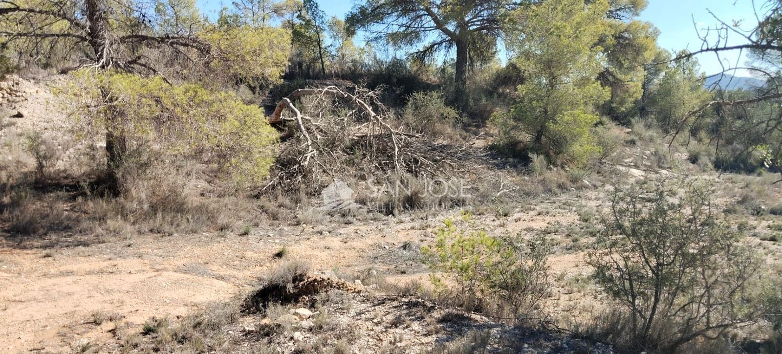 Rakentamaton maa myytävänä paikassa La Romana - 56 000 € (Ref: 8643575)