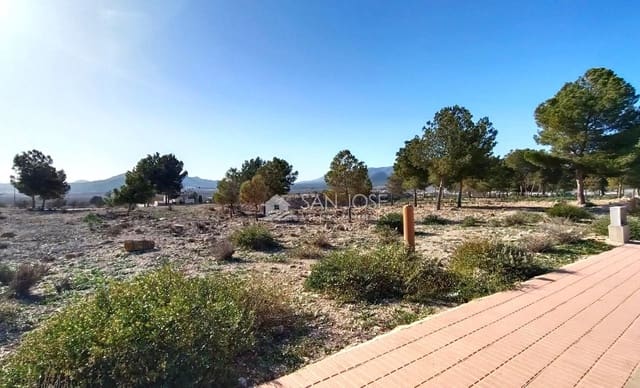 Tomt till salu i Salinas - 52 260 € (Ref: 8729769)