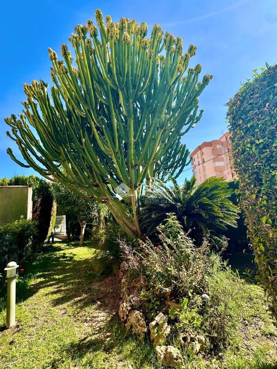 3 soveværelse Lejlighed til salg i Playa de Muchavista med swimmingpool garage - € 570.000 (Ref: 8845447)