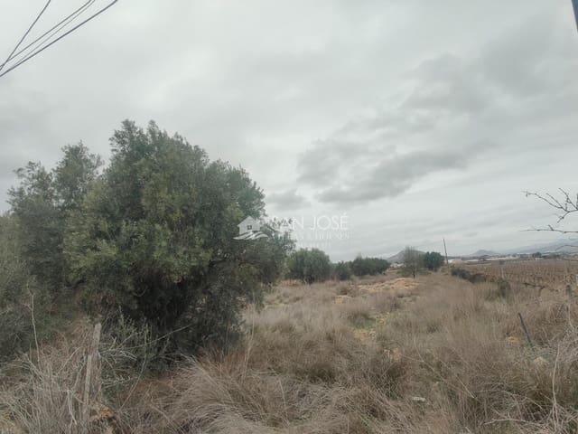 Grunde uden byggetilladelser til salg i Aspe - € 24.840 (Ref: 8859675)