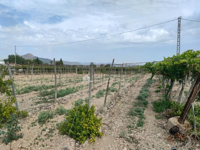 Mark till salu i Aspe - 59 000 € (Ref: 9202599)