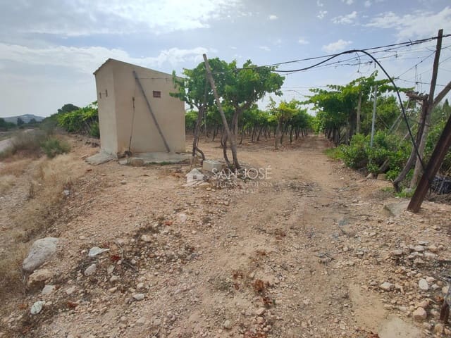 Mark till salu i Aspe - 59 000 € (Ref: 9202599)