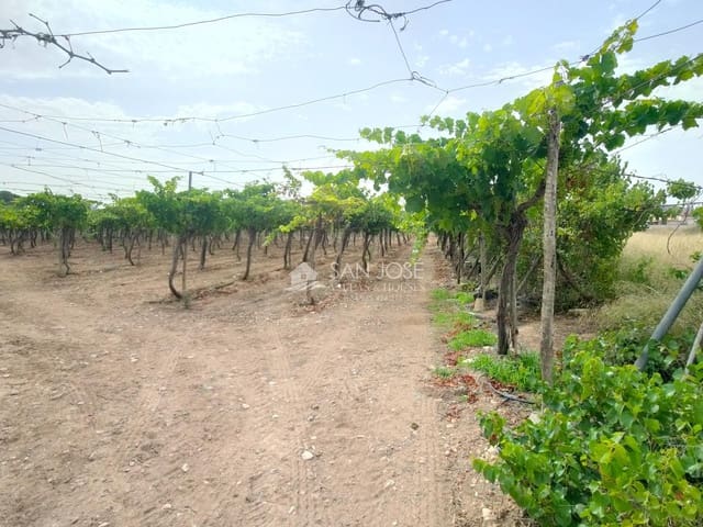 Mark till salu i Aspe - 59 000 € (Ref: 9202599)