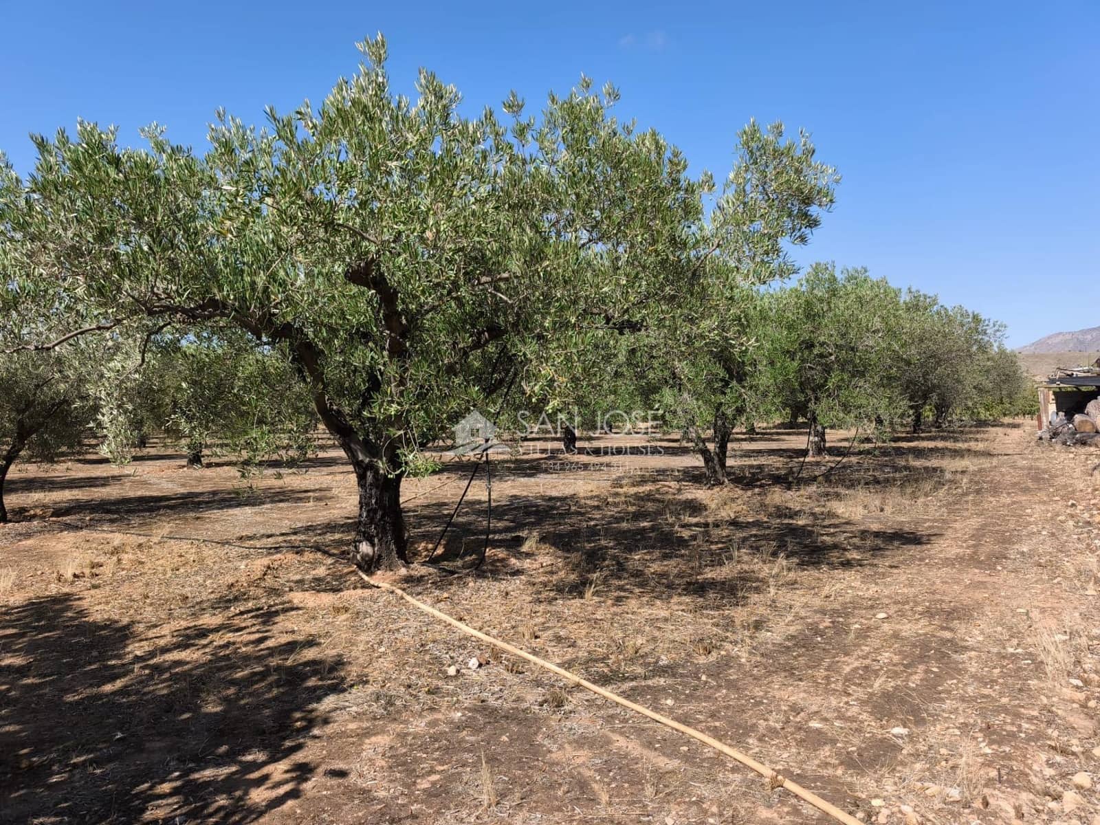 2 camera da letto Villa in vendita in Hondon de las Nieves - 160.000 € (Rif: 9232800)