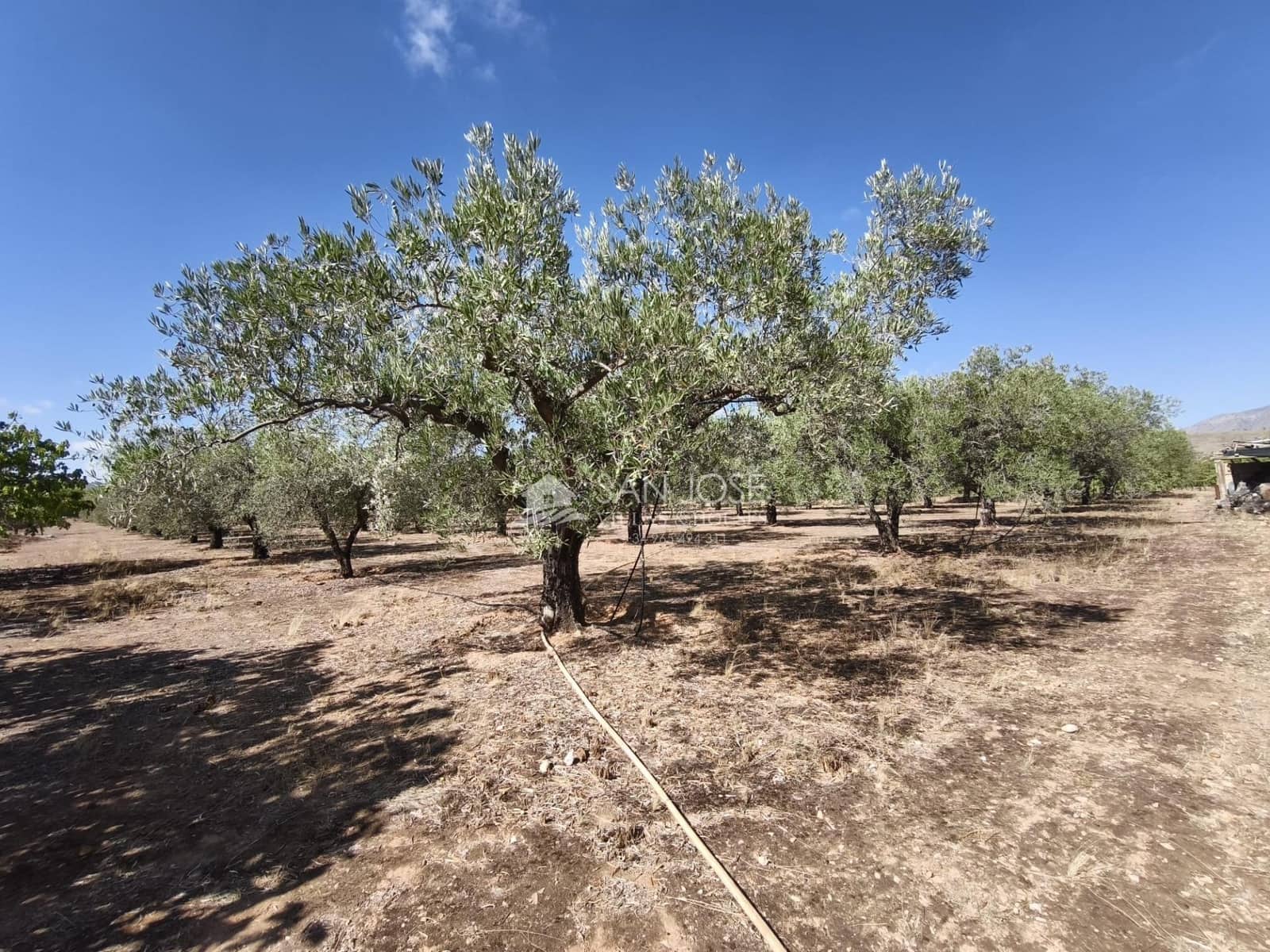 2 camera da letto Villa in vendita in Hondon de las Nieves - 160.000 € (Rif: 9232800)