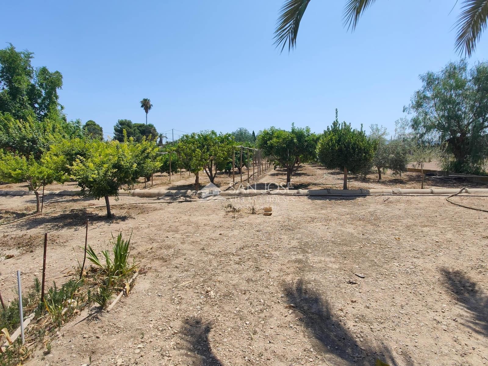 6 soveværelse Villa til salg i Novelda med swimmingpool - € 310.890 (Ref: 9243248)