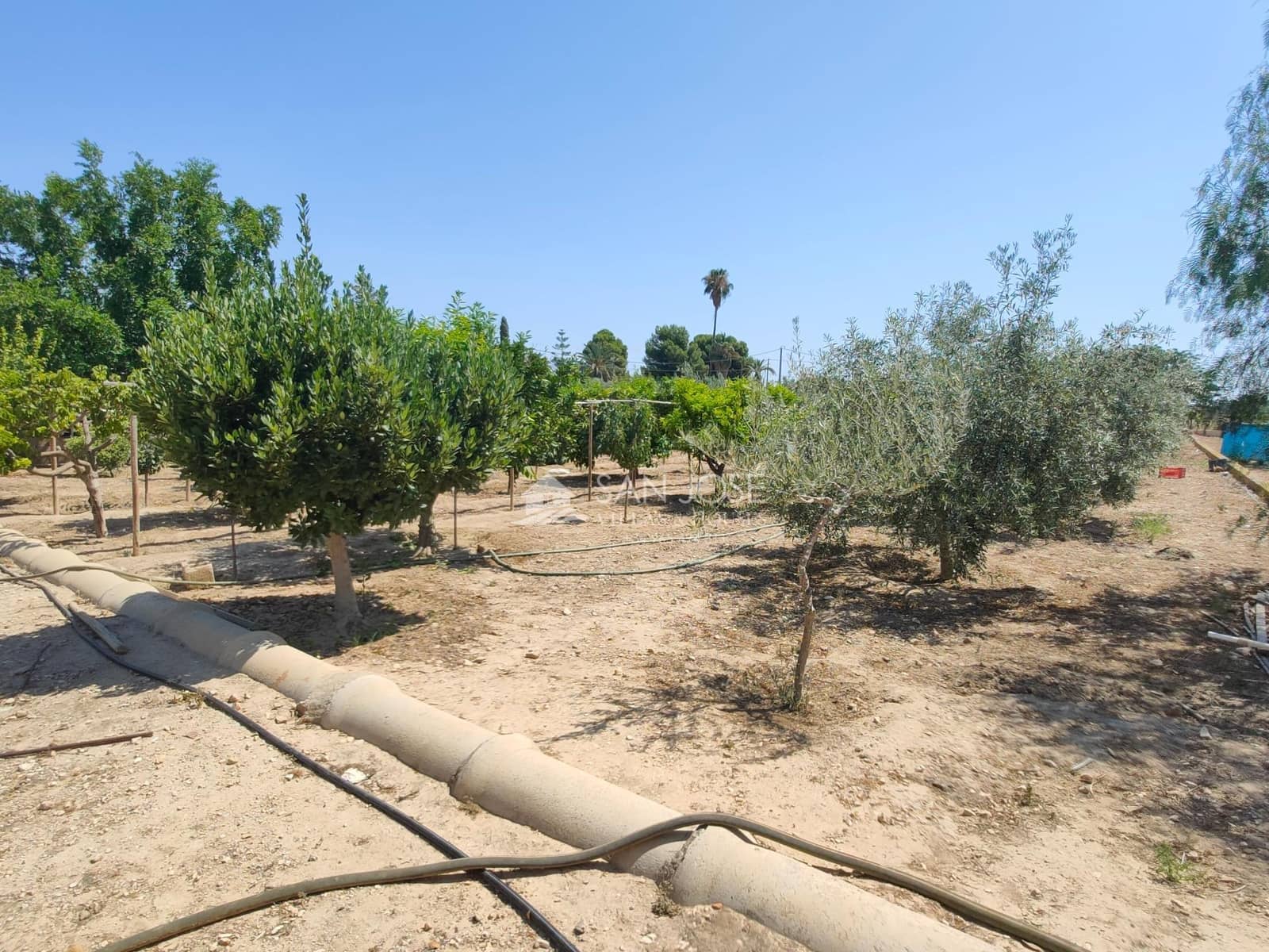 6 soveværelse Villa til salg i Novelda med swimmingpool - € 310.890 (Ref: 9243248)