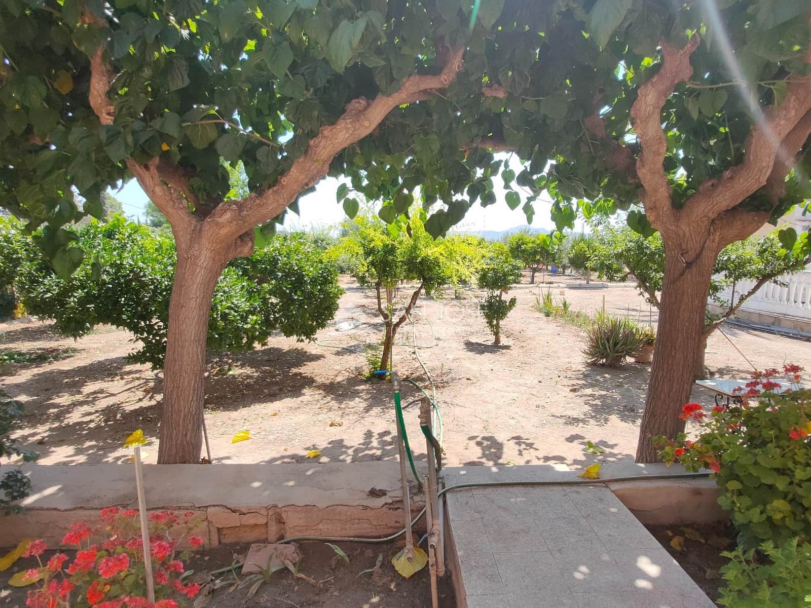 6 soveværelse Villa til salg i Novelda med swimmingpool - € 310.890 (Ref: 9243248)