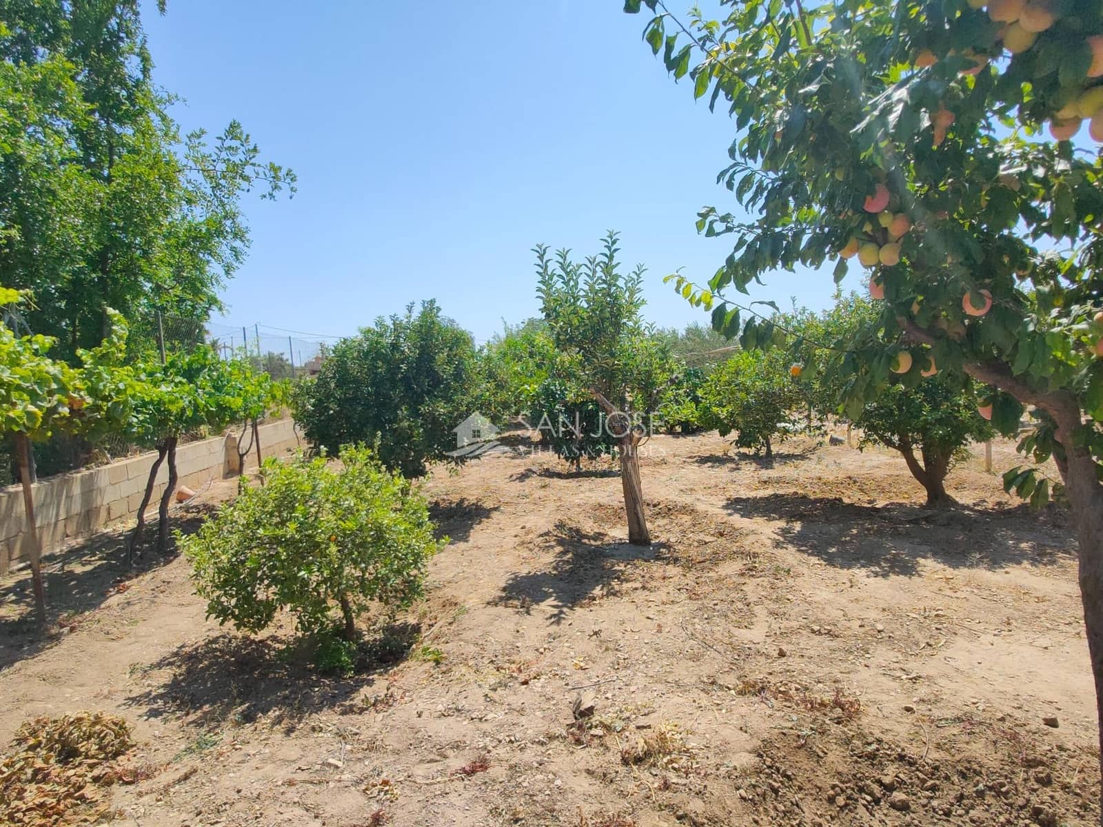 6 soveværelse Villa til salg i Novelda med swimmingpool - € 310.890 (Ref: 9243248)