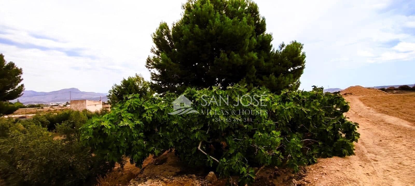 1 soveværelse Finca/Landehus til salg i Novelda - € 26.500 (Ref: 9255188)