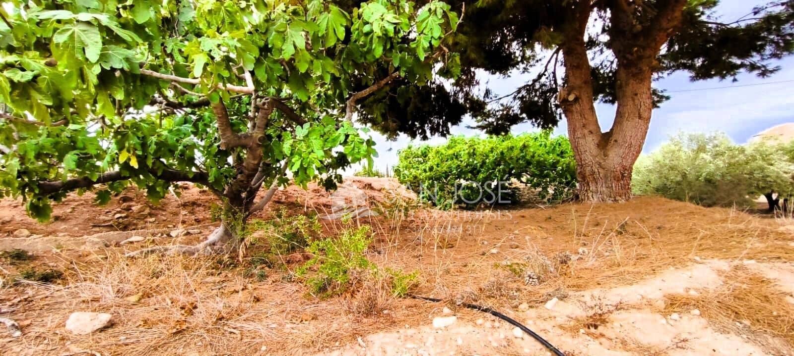 1 soveværelse Finca/Landehus til salg i Novelda - € 26.500 (Ref: 9255188)