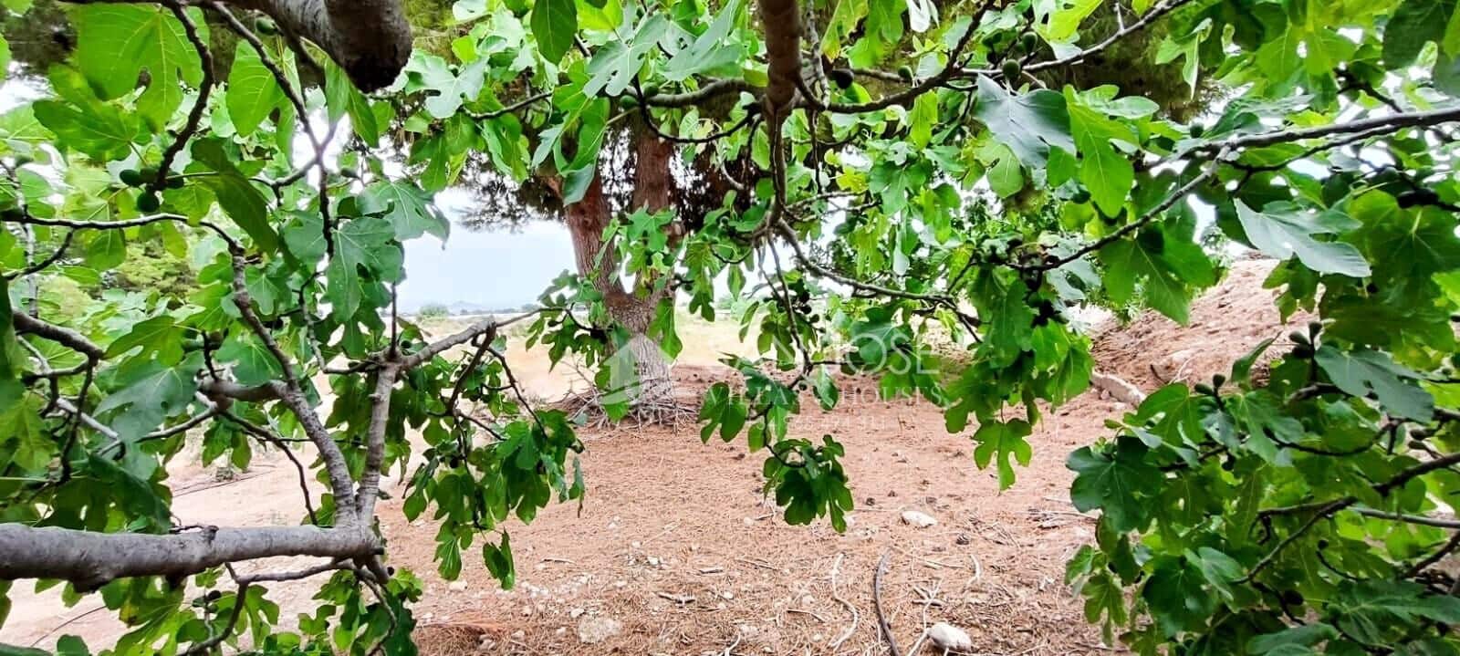 1 soveværelse Finca/Landehus til salg i Novelda - € 26.500 (Ref: 9255188)