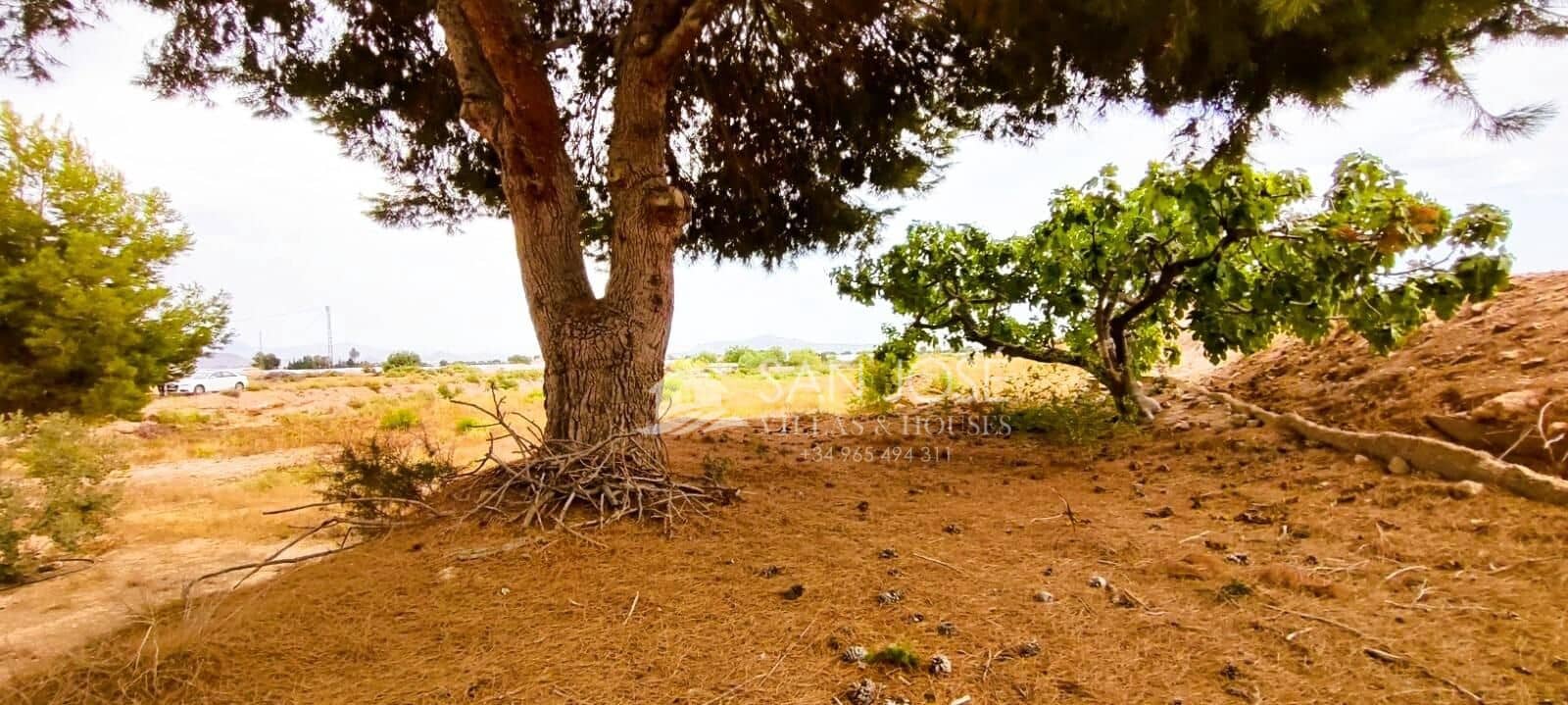 1 soveværelse Finca/Landehus til salg i Novelda - € 26.500 (Ref: 9255188)