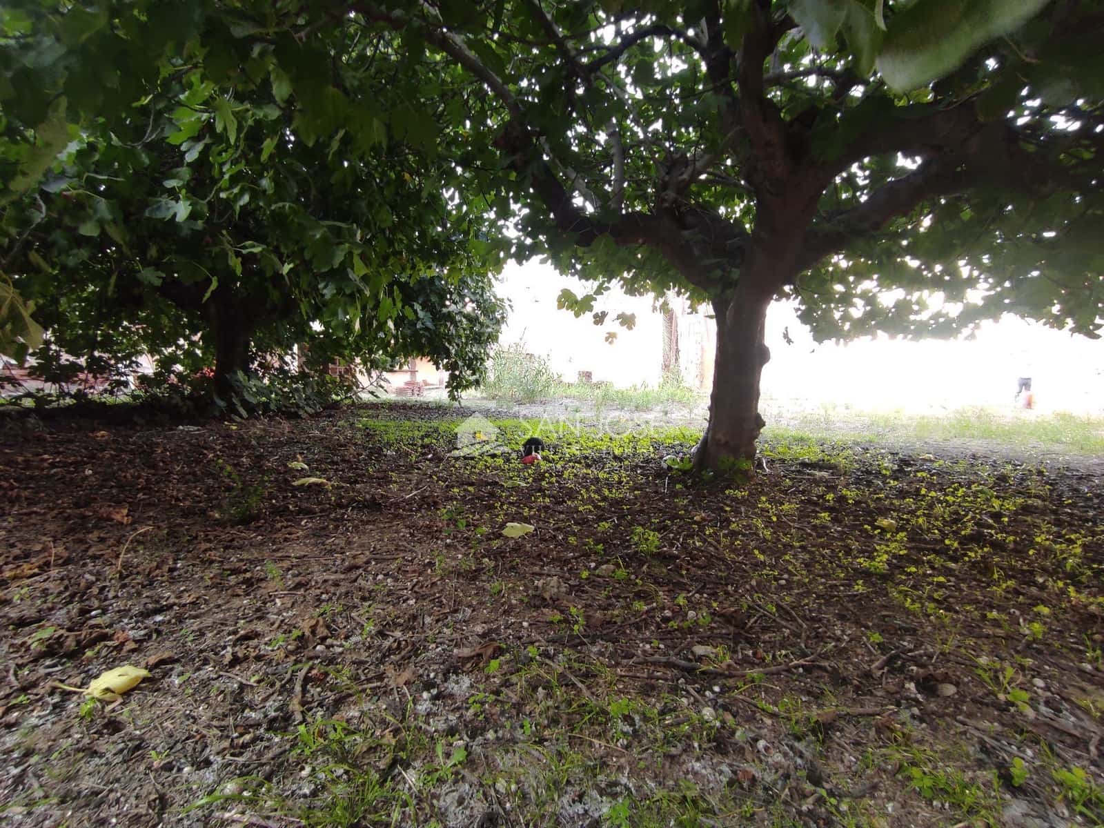 Finca/Maison de Campagne à vendre à Aspe - 90 000 € (Ref: 9344978)