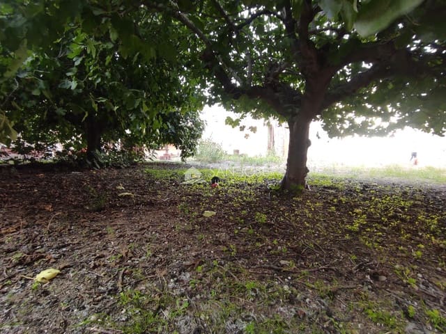 Finca/Maison de Campagne à vendre à Aspe - 90 000 € (Ref: 9344978)