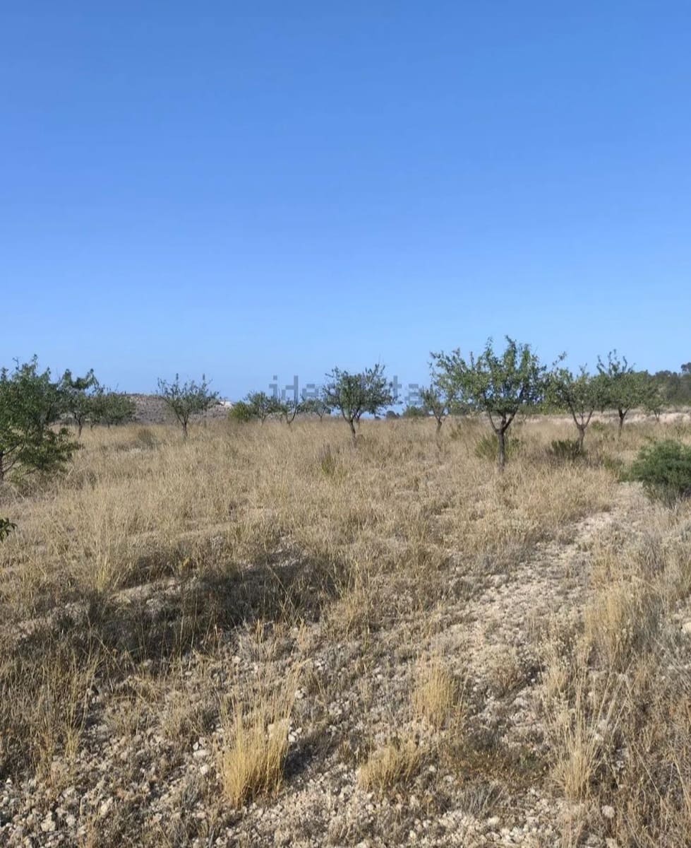 Bouwgrond te koop in La Romana - € 20.000 (Ref: 9403296)