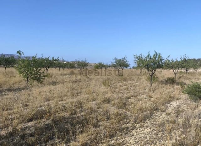 Bouwgrond te koop in La Romana - € 20.000 (Ref: 9403296)