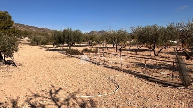 4 slaapkamer Villa te koop in Monóvar / Monóver met zwembad - € 286.335 (Ref: 9413981)