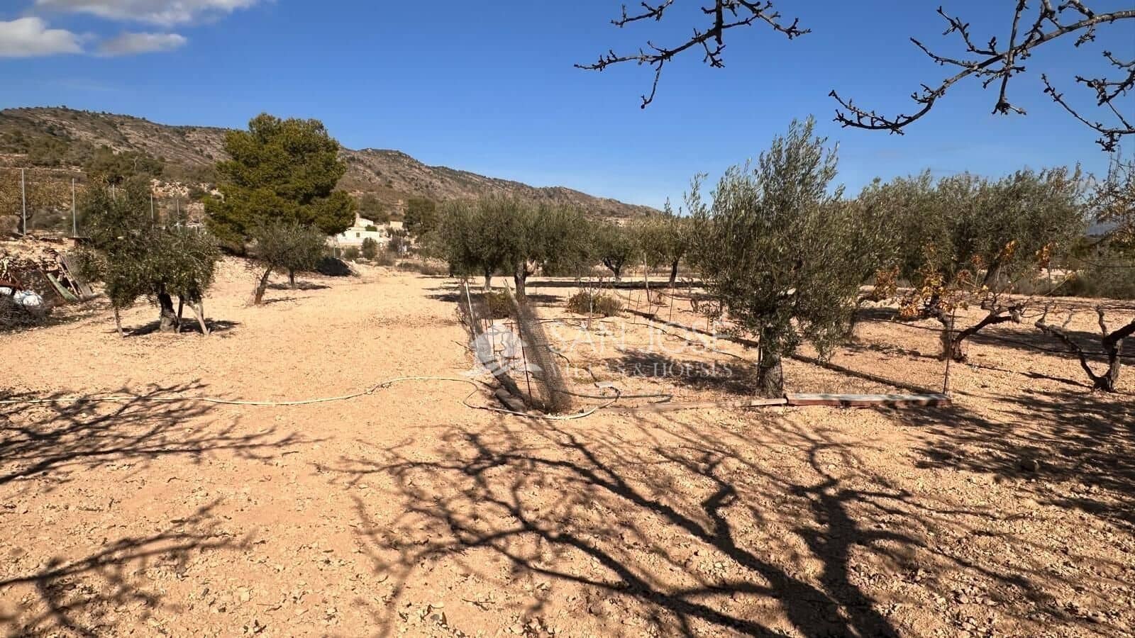 4 slaapkamer Villa te koop in Monovar / Monover met zwembad - € 286.335 (Ref: 9413981)