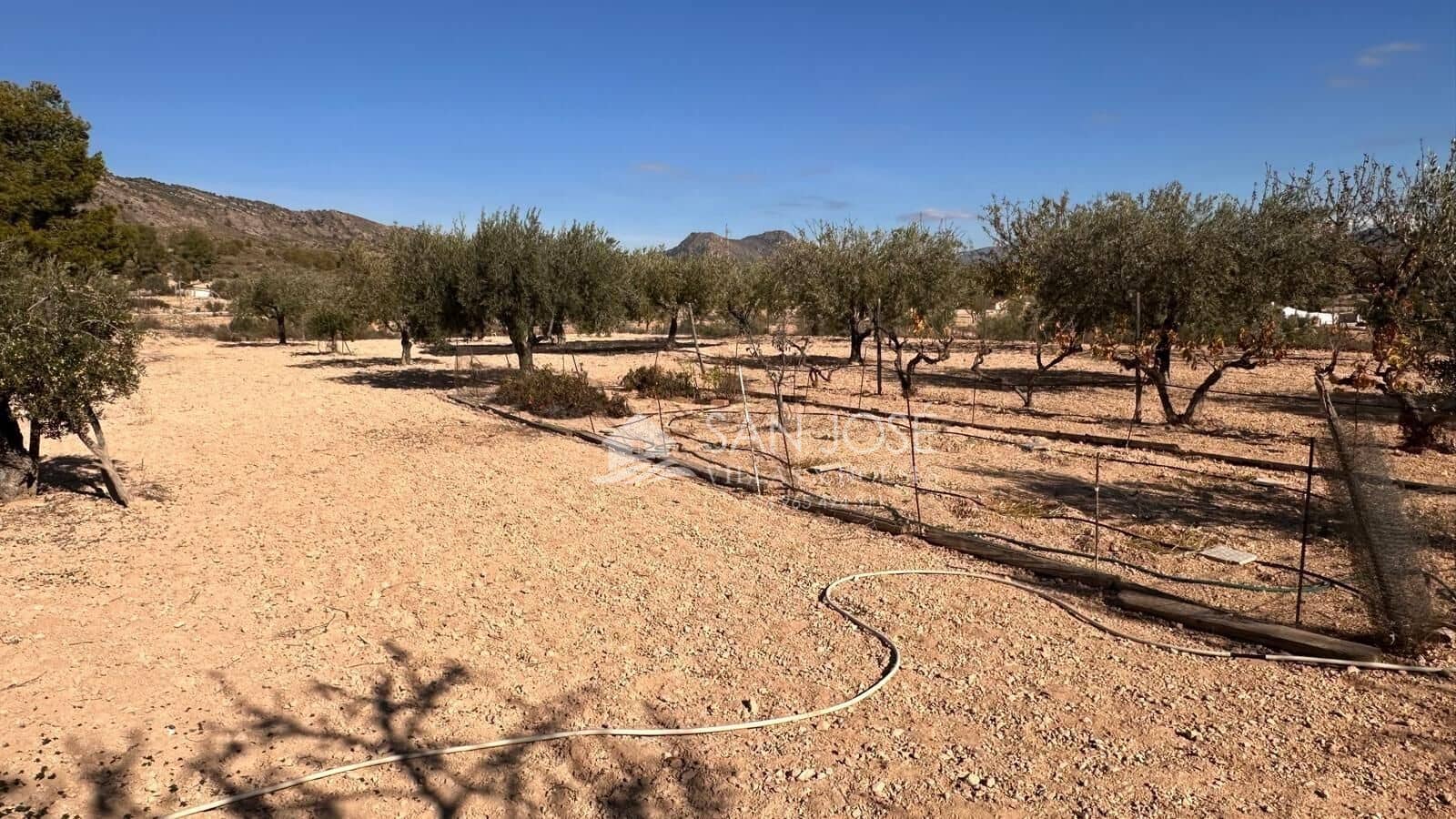 4 slaapkamer Villa te koop in Monovar / Monover met zwembad - € 286.335 (Ref: 9413981)