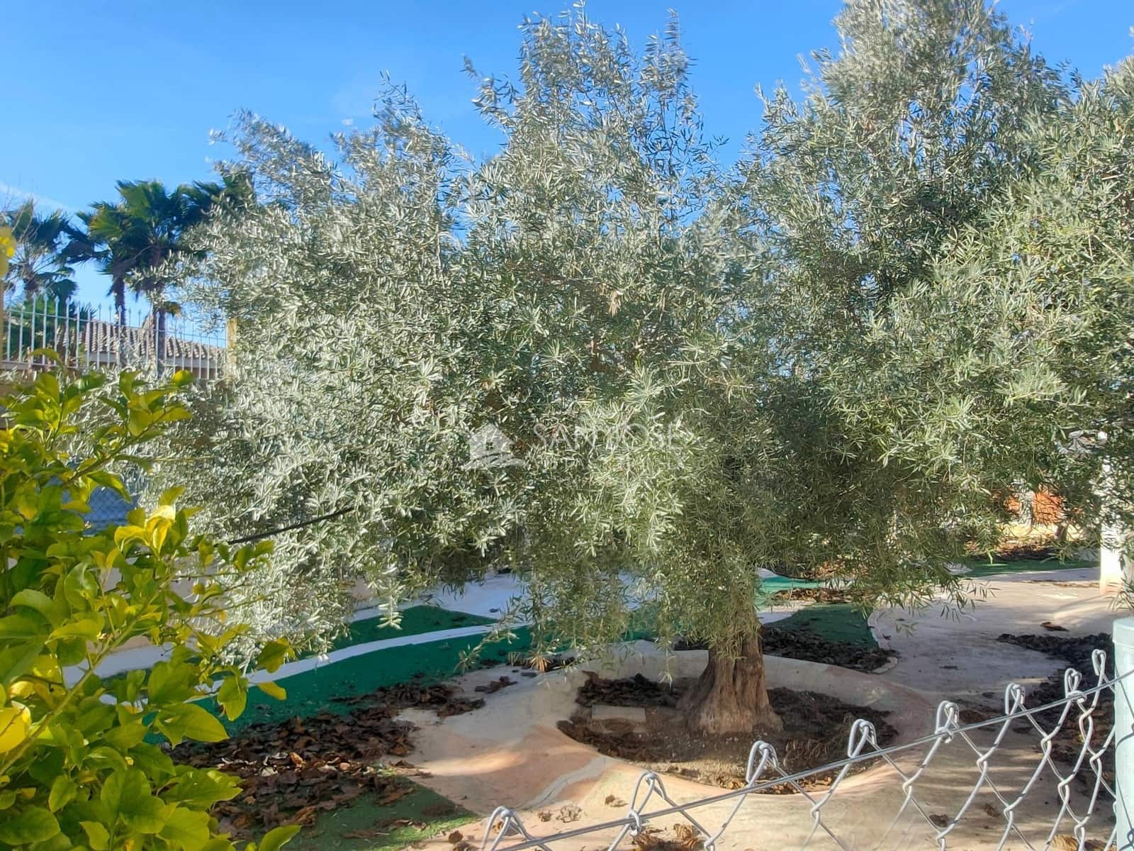 6 soverom Villa til salgs i Aspe med svømmebasseng - € 350 000 (Ref: 9497569)