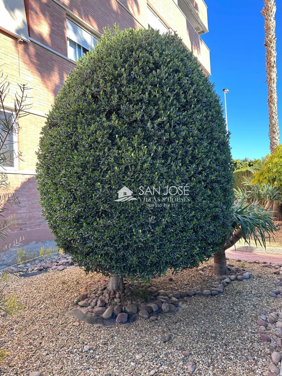 3 sovrum Lägenhet till salu i Elche / Elx med pool garage - 274 680 € (Ref: 9513605)