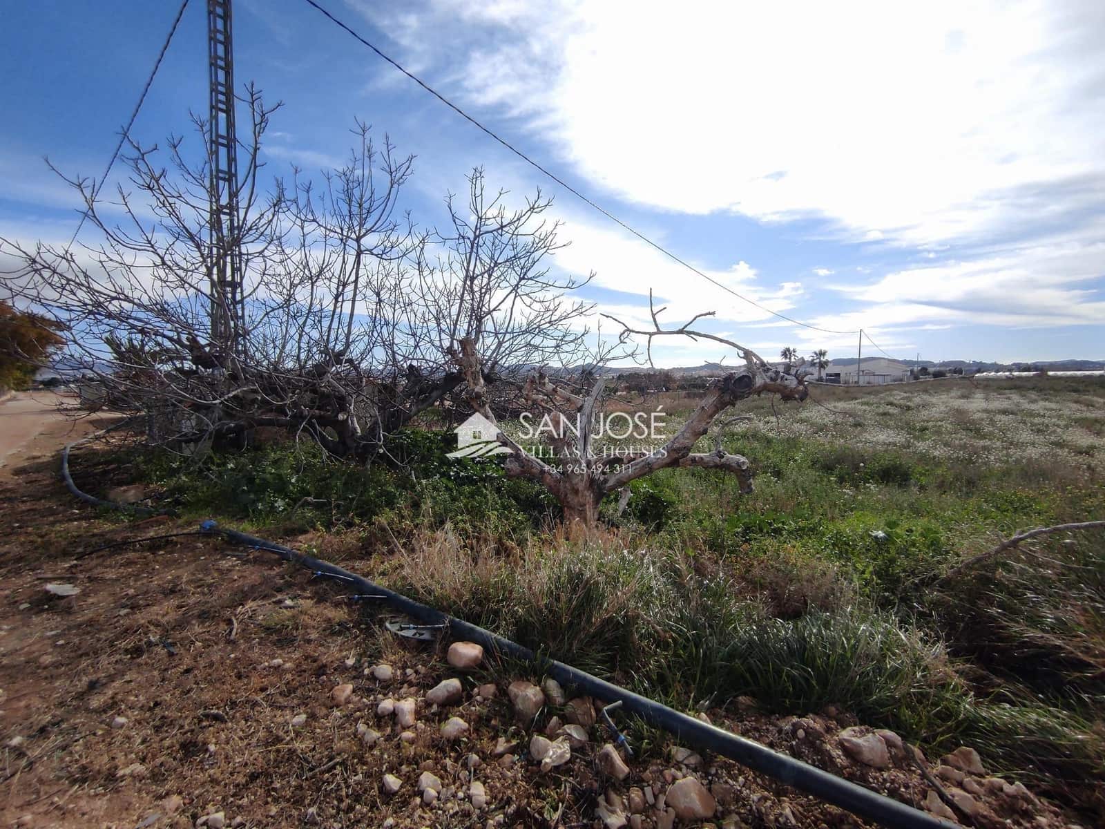 Building Plot for sale in Novelda - € 38,840 (Ref: 9583069)