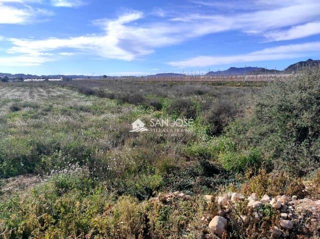 Area Edificabile in vendita in Novelda - 38.840 € (Rif: 9583069)