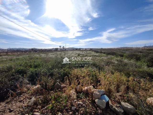 Area Edificabile in vendita in Novelda - 38.840 € (Rif: 9583069)