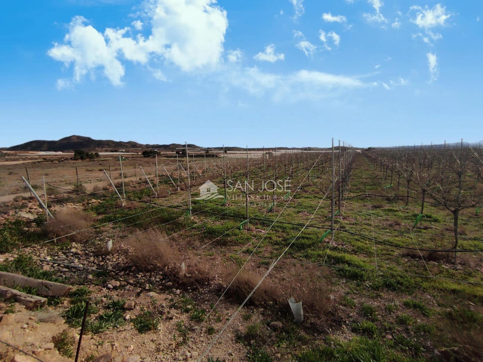 Tontti myytävänä paikassa Monforte del Cid - 50 000 € (Ref: 9611711)