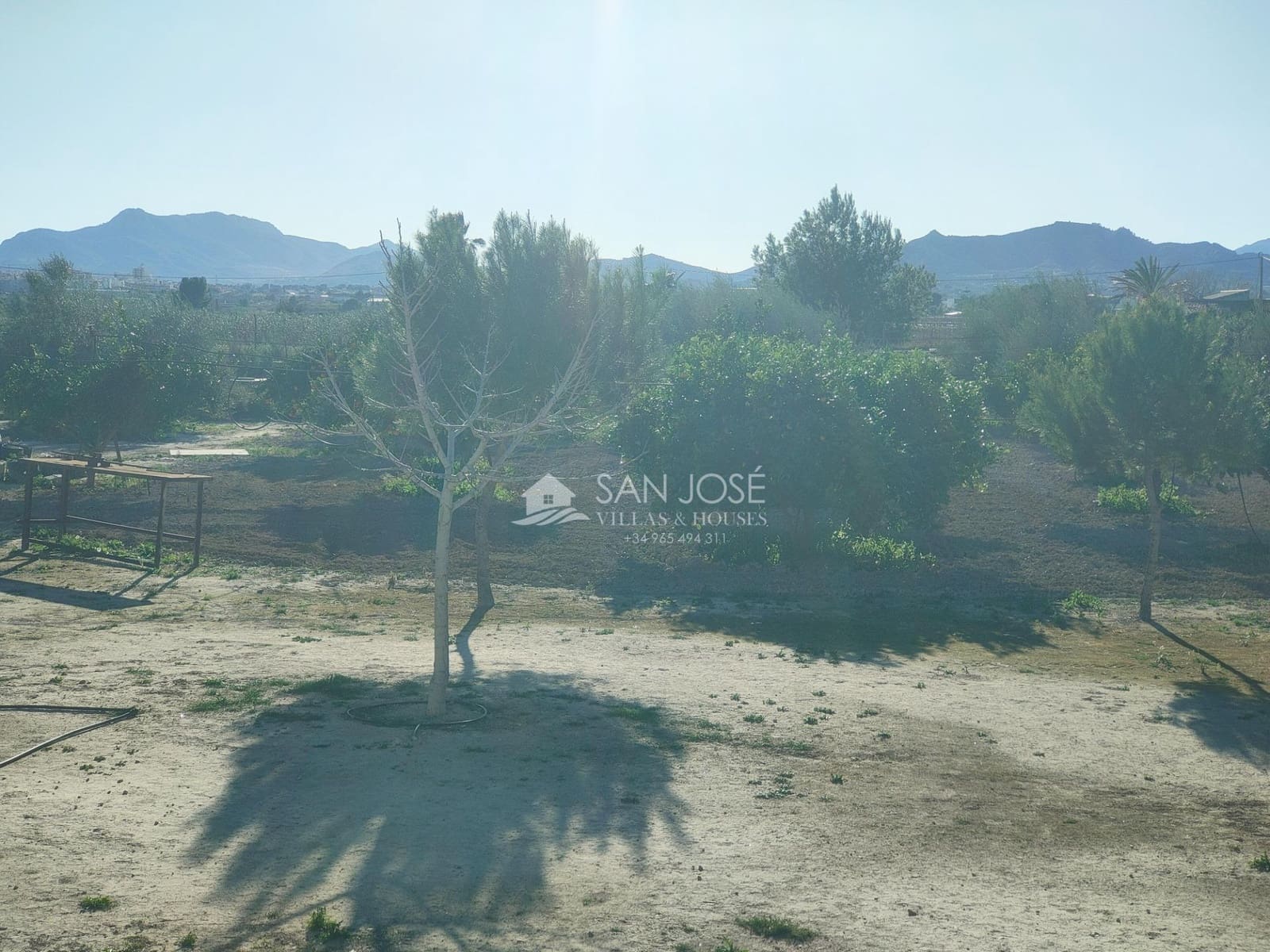 7 soverom Villa til salgs i Novelda med svømmebasseng - € 549 000 (Ref: 9625915)