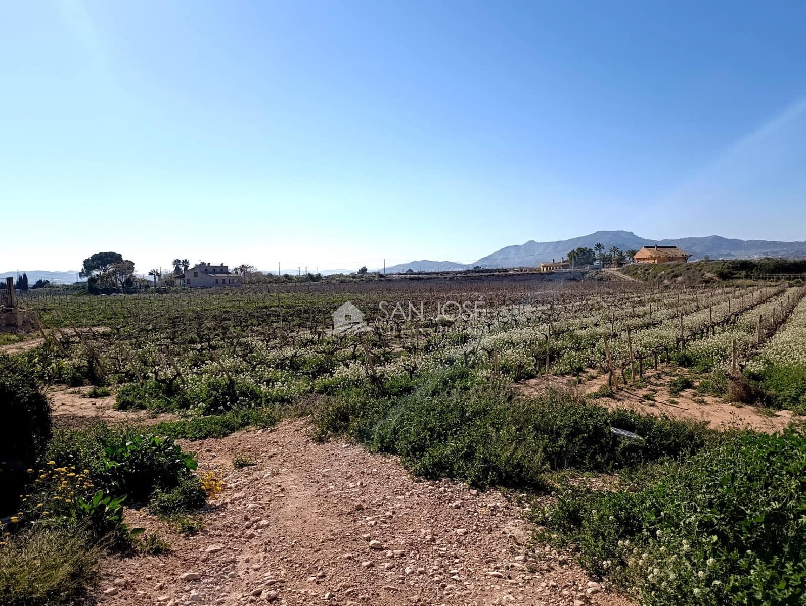 3 camera da letto Finca/Casa di Campagna in vendita in Novelda - 85.000 € (Rif: 9630303)