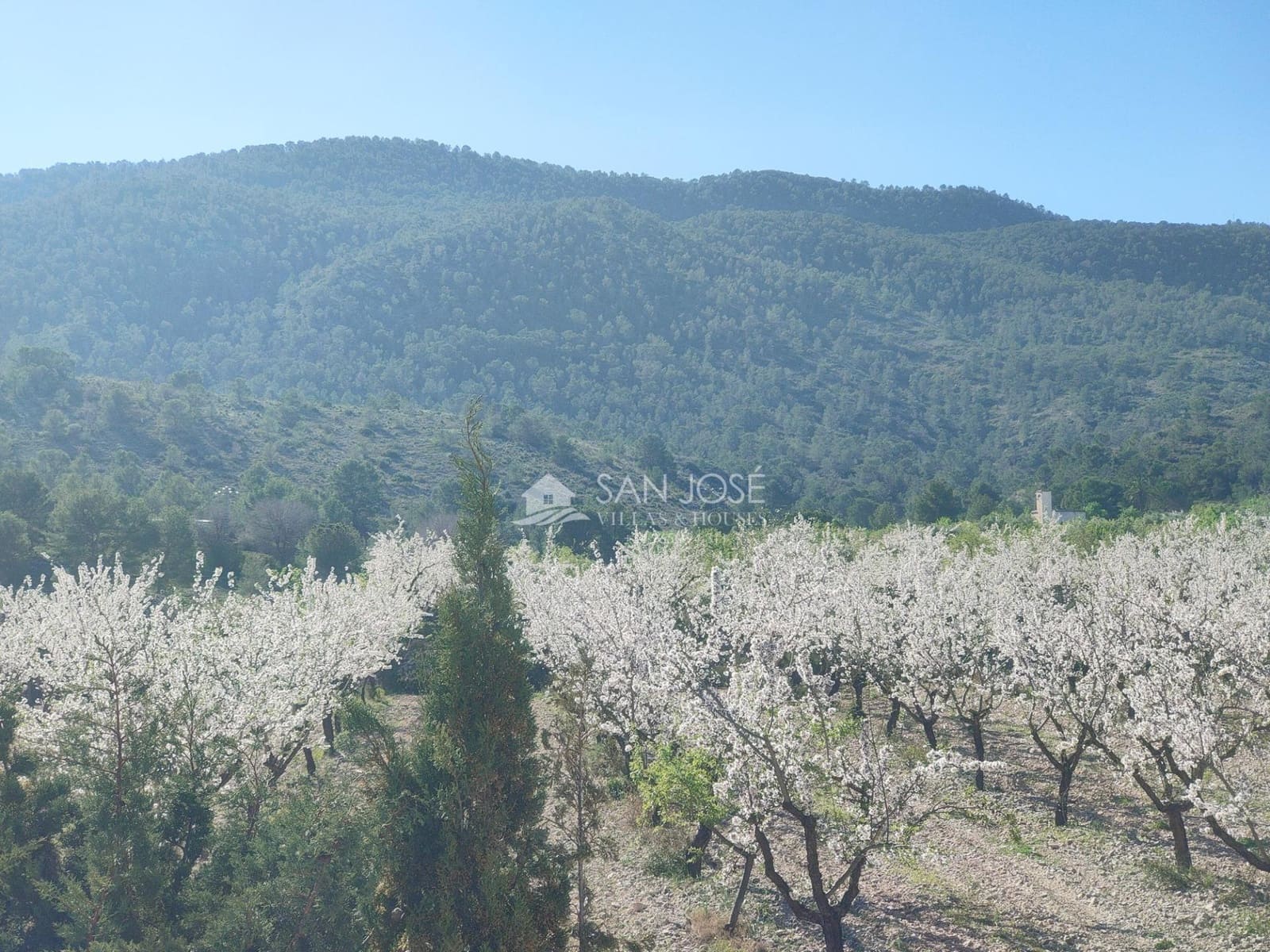 6 slaapkamer Villa te koop in Hondon de las Nieves met zwembad - € 395.000 (Ref: 9645256)