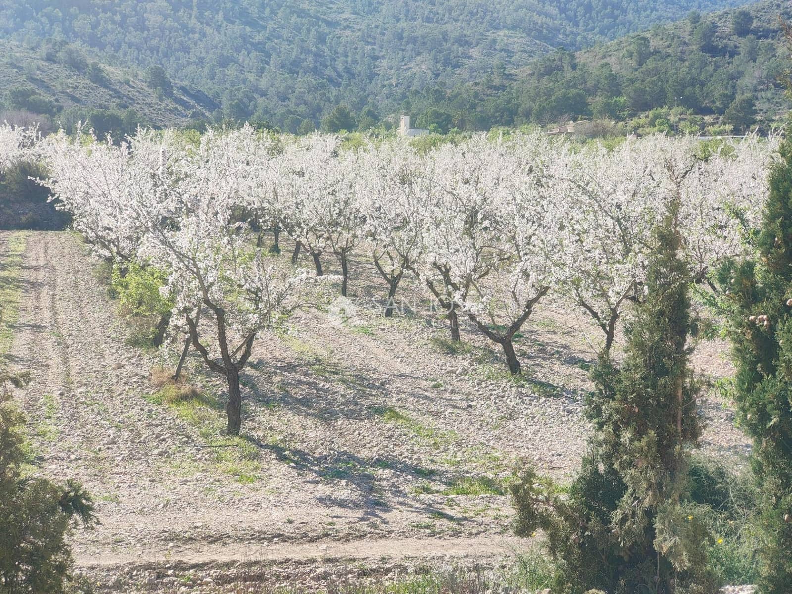 6 slaapkamer Villa te koop in Hondon de las Nieves met zwembad - € 395.000 (Ref: 9645256)