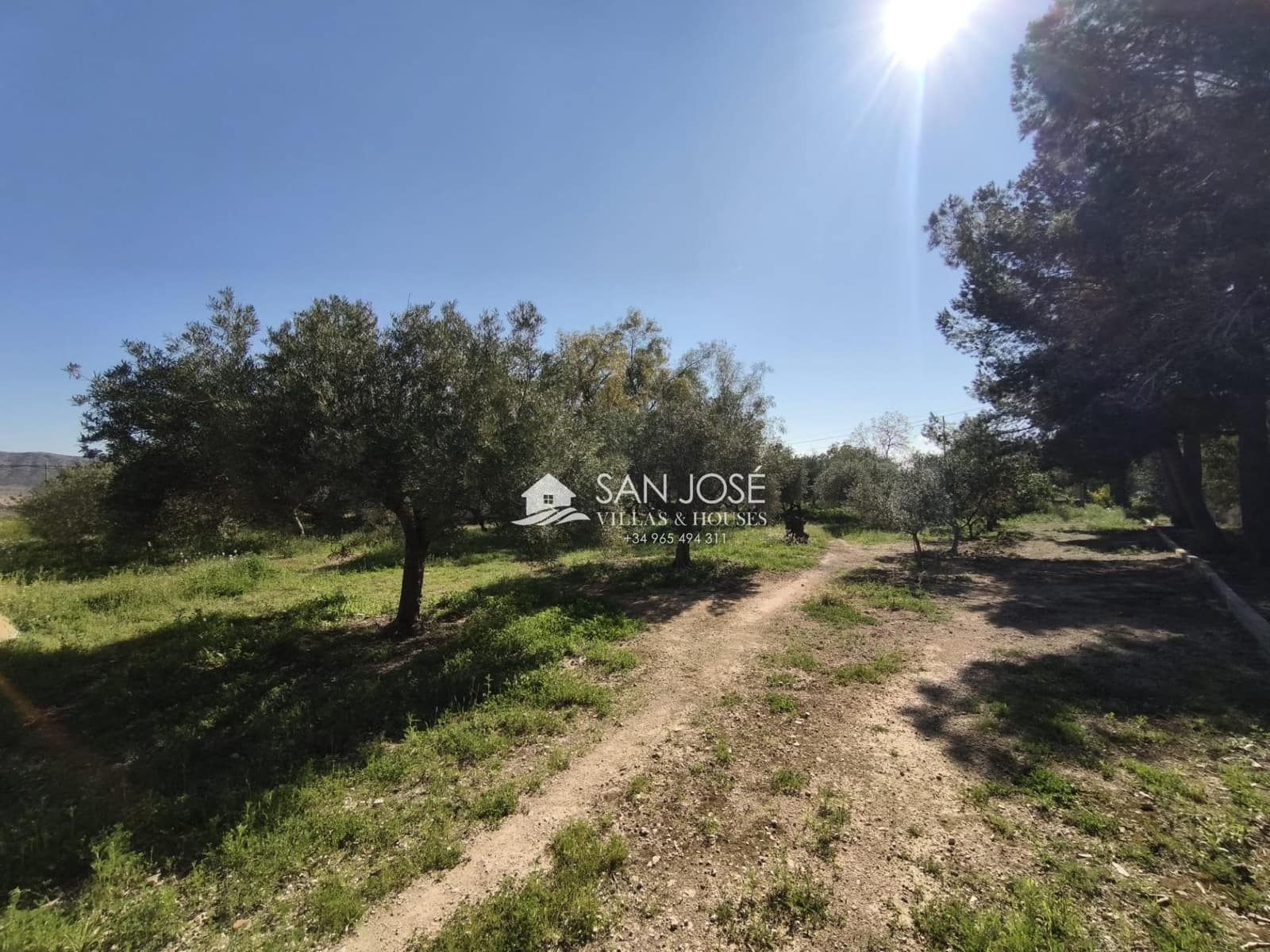 5 bedroom Villa for sale in Aspe with pool - € 285,000 (Ref: 9788561)