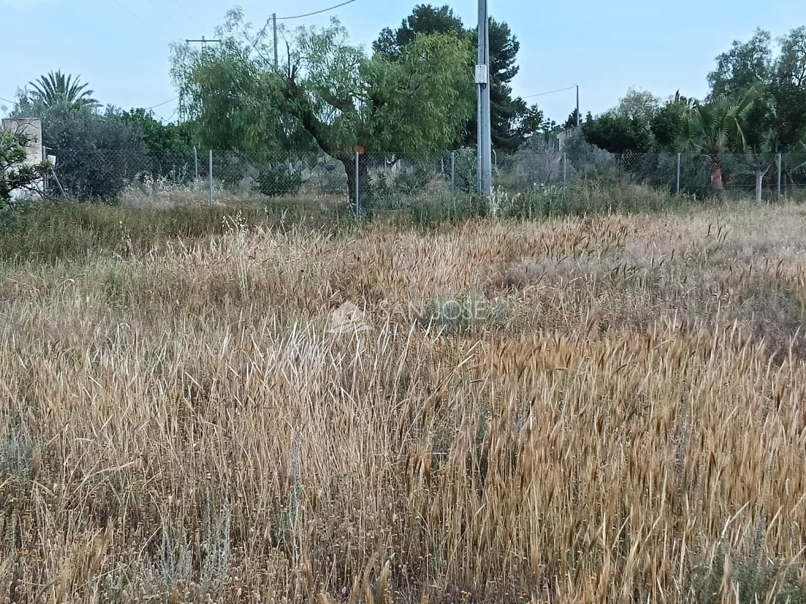 1 quarto Moradia para venda em Aspe - 92 260 € (Ref: 9831738)