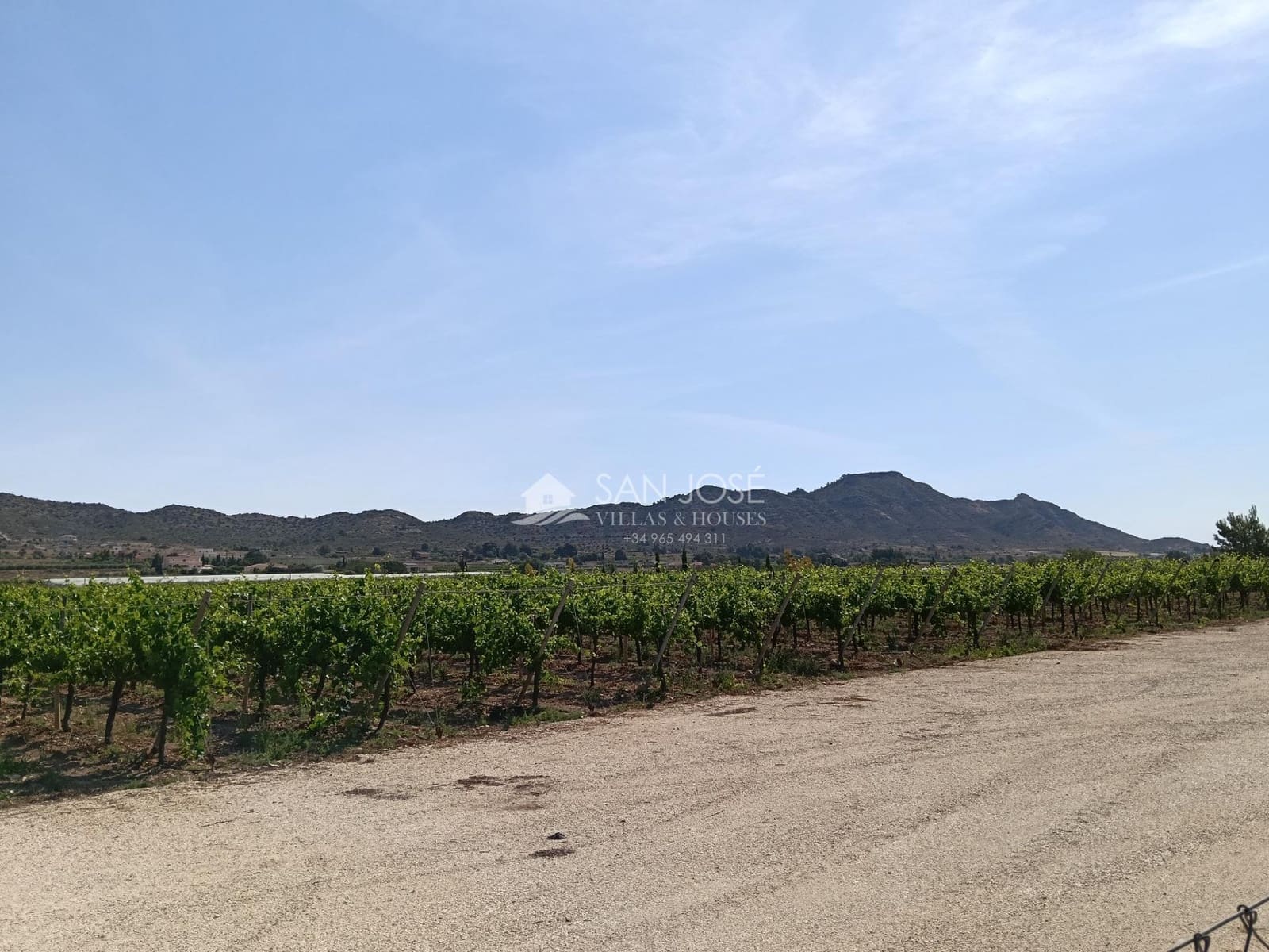 Terreno Não Urbanizado para venda em Aspe - 650 000 € (Ref: 9892562)