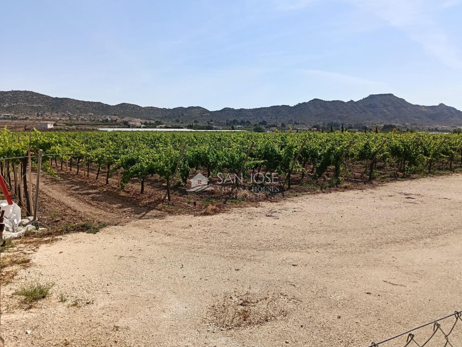 Terreno Não Urbanizado para venda em Aspe - 650 000 € (Ref: 9892562)